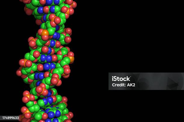 렌더링 선으로나 Dna 스트랜드 개발에 대한 스톡 사진 및 기타 이미지 - 개발, 동물 몸, 세포