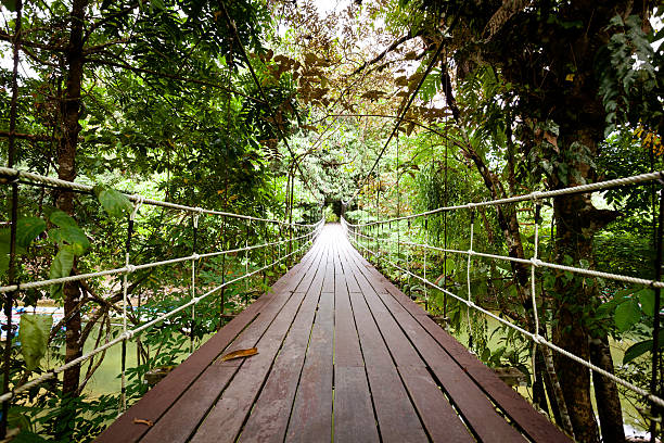 橋のジャングル - グヌンムル国立公園 ストックフォトと画像