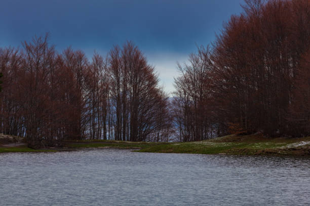 pioggia e grandine sul lago calamone - meteorology rain fog forest foto e immagini stock