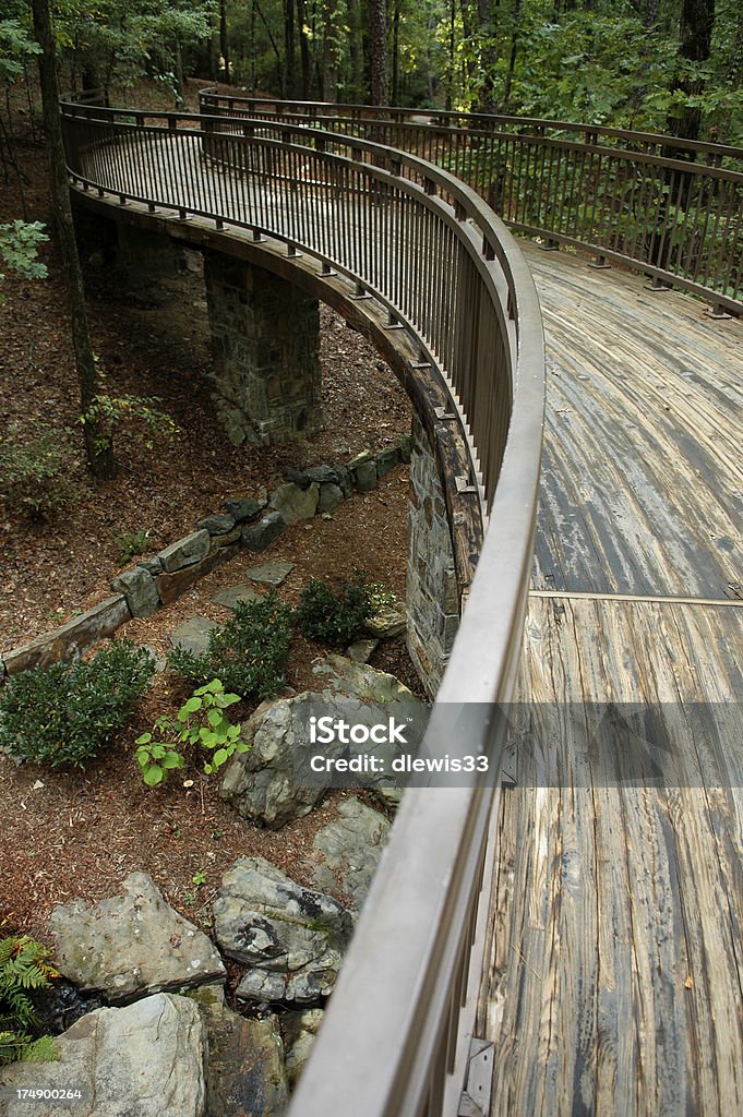 S-Shaped Woodland Walkway "Graceful curving elevated walkway over a stream in botanical gardens. Need photos representing the people, places and natural beauty of Arkansas" Arkansas Stock Photo