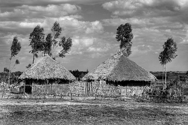 capanne africana - hut africa grass hut mud hut foto e immagini stock