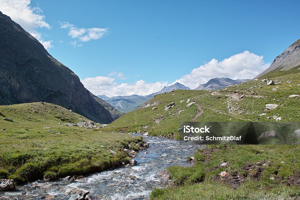 Alpejski Krajobraz ecrins Francja Alpy - Zbiór zdjęć royalty-free (Alpy)