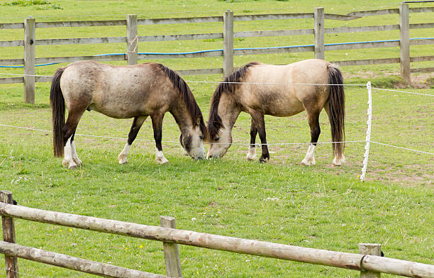 istock So near and yet soo far 174900474