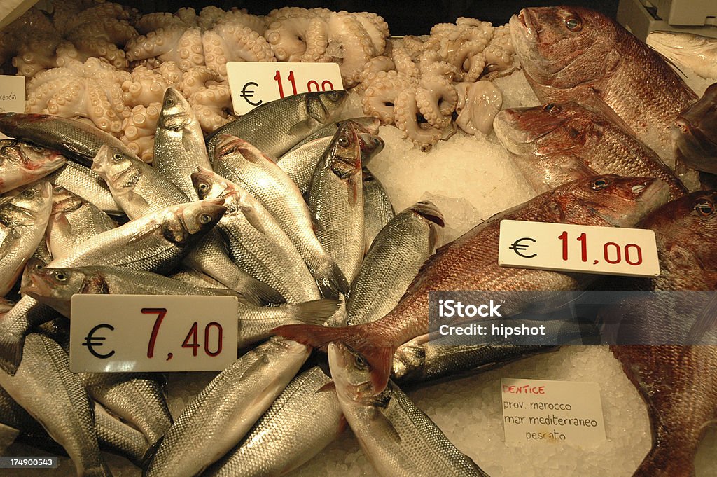 Peixe fresco no mercado de Rialto em Veneza, Itália - Royalty-free Calamar Foto de stock