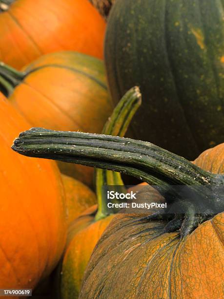 Zucche - Fotografie stock e altre immagini di Ambientazione esterna - Ambientazione esterna, Arancione, Autunno