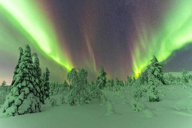 istock Aurora borealis over frozen snowy trees, Finland 1749006503