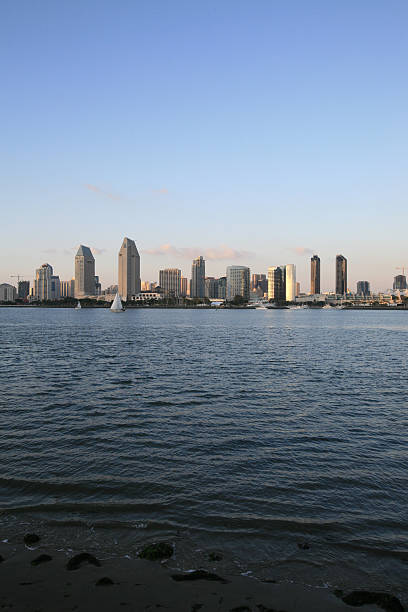 istock San Diego Skyline At Sunset (Portrait) 174900893