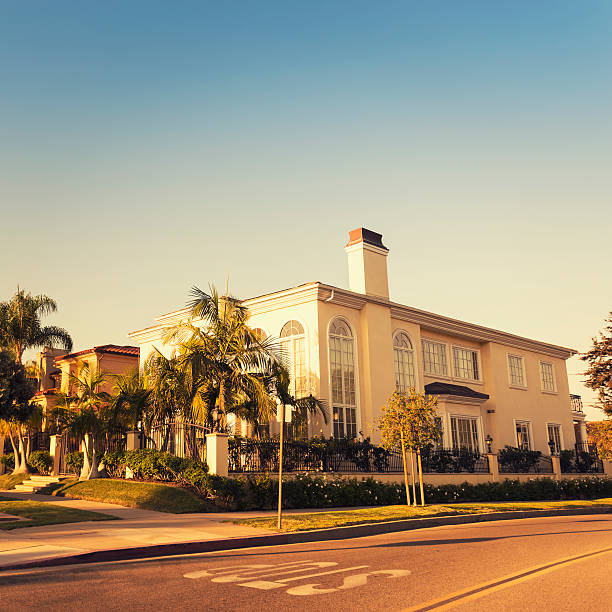 beverly hills casa de férias - southern california palm tree beverly hills california california - fotografias e filmes do acervo