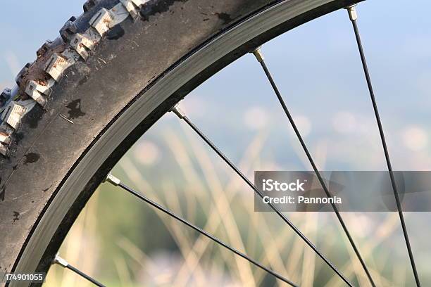 Koło Rowerowe - zdjęcia stockowe i więcej obrazów Bicykl - Bicykl, Koło - Fragment pojazdu, Profil - Z boku