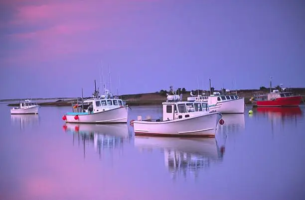 Photo of Maritime Reflections