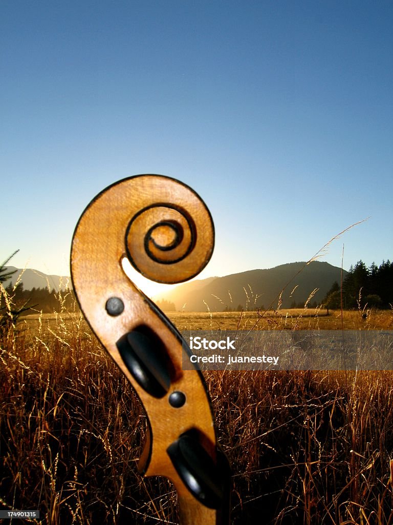 Stradivarius - Foto stock royalty-free di Violino