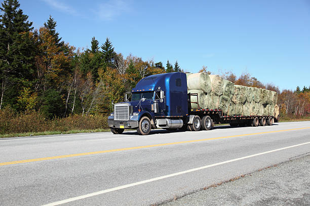 istock Semi-truck with a load of hay 174901530