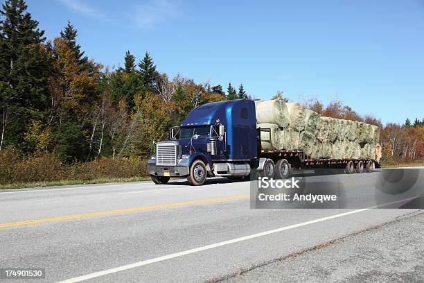 Ciężarówka Transportowa Z Obciążenie Hay - zdjęcia stockowe i więcej obrazów Ciężarówka - Ciężarówka, Siano, Ciężarówka transportowa