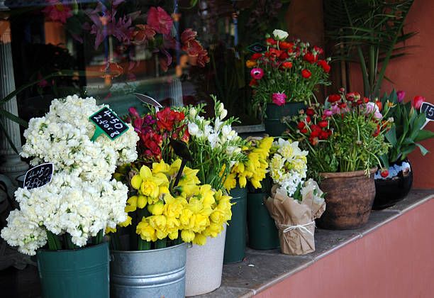 Loja de Flores - fotografia de stock