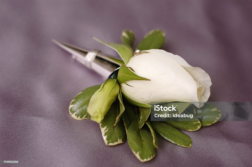 White Rose Fiore all'occhiello - Foto stock royalty-free di Corsage