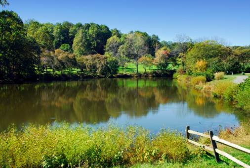 Beginning of Fall at Holmdel Park located in Monmouth County New Jersey.