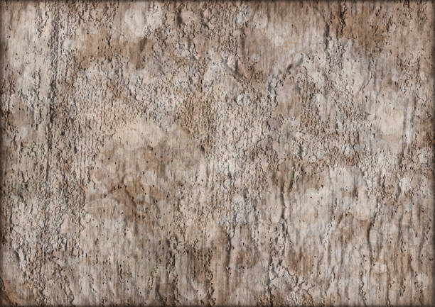 hi-res primed iuta a grana grossa vignettatura grunge texture - cracked primed pilled impurities foto e immagini stock