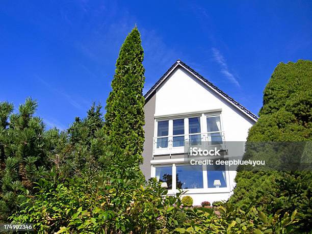 White House Stock Photo - Download Image Now - Architecture, Auto Repair Shop, Blue