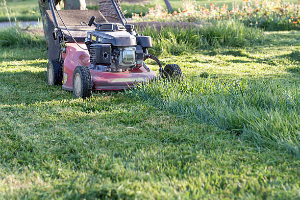 istock Gardening Mowing the lawn 174902361