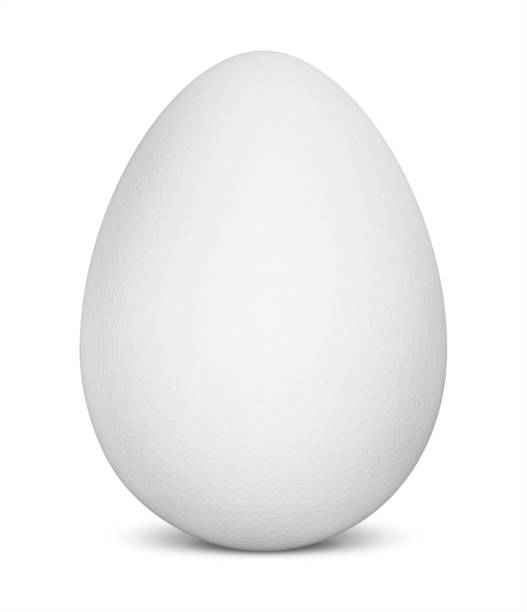 Egg Isolated (HUGE) stock photo