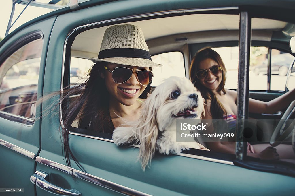 cute girls in vintage car with dog cute girls and car Dog Stock Photo