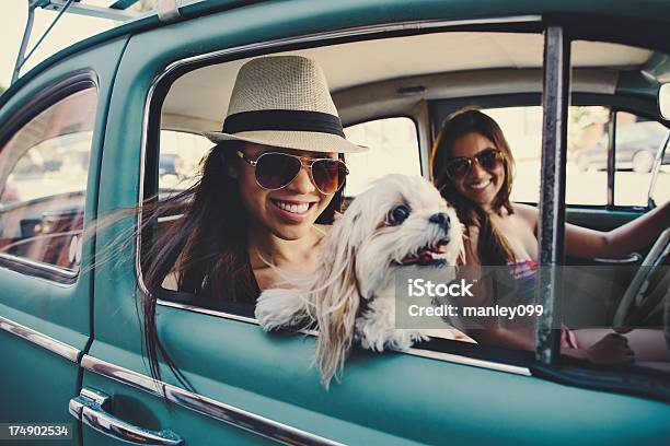 Cute Girls In Vintage Car With Dog Stock Photo - Download Image Now - Dog, Car, Sunglasses