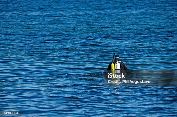 Vadear Na Água De Mergulhador De Puget Sound - Fotografias de stock e mais imagens de Adulto - Adulto, Aqualung - Equipamento de Mergulho, Atividade Recreativa