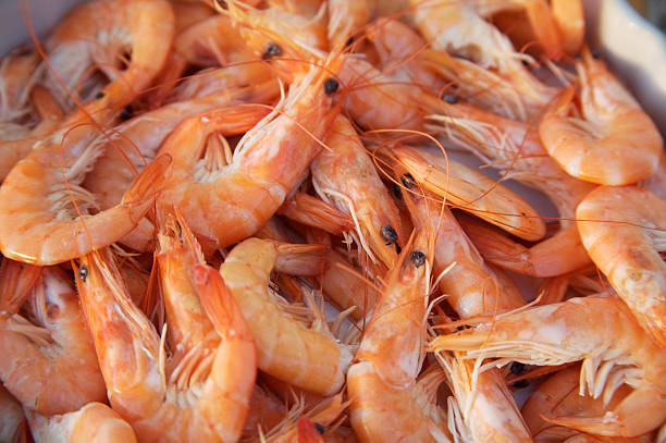 Close up of prawns stock photo