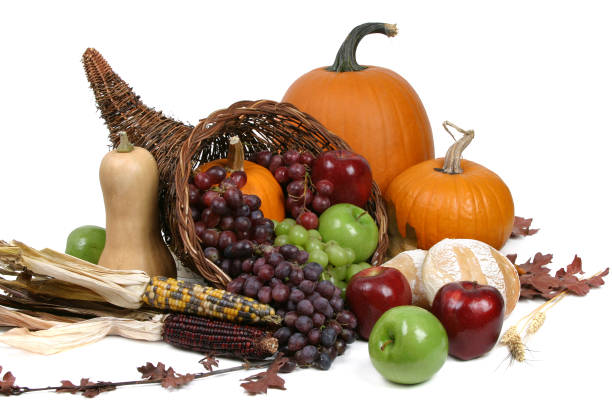 istock Autumn Harvest Series (isolated on white background) 174903707
