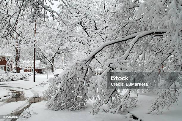 Снег Ущерб — стоковые фотографии и другие картинки Отключение электричества - Отключение электричества, Зима, Повреждённый