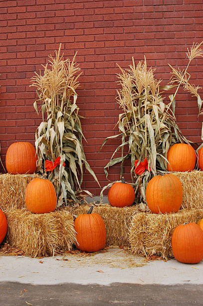 Autumn Pumpkin Scene stock photo