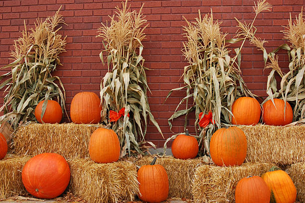 Autumn Pumpkins stock photo