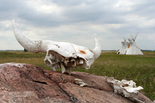 Buffalo remains and tipis in the Prairies