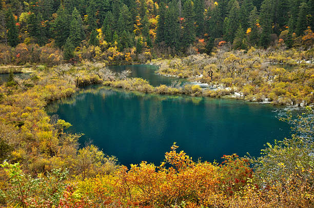istock Beauty in nature 174904060