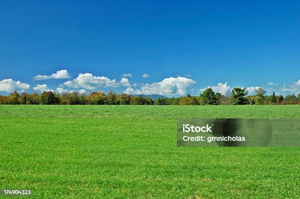 Landschaft Stockfoto und mehr Bilder von Agrarbetrieb - Agrarbetrieb, Baum, Blau