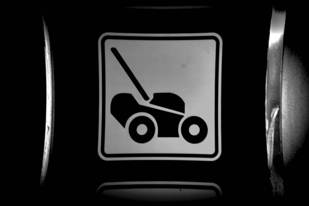 mowing the lawn in the garden with a lawn mower