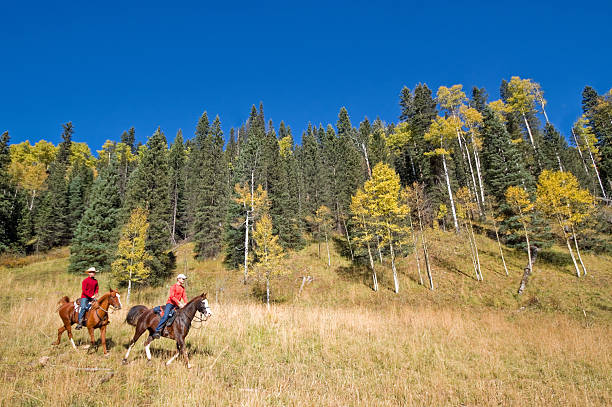 istock rocky mountain horseback autumn landscape 174904365