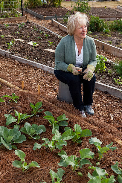 femme senior avec légumes du jardin communautaire - sc0588 vertical full length outdoors photos et images de collection