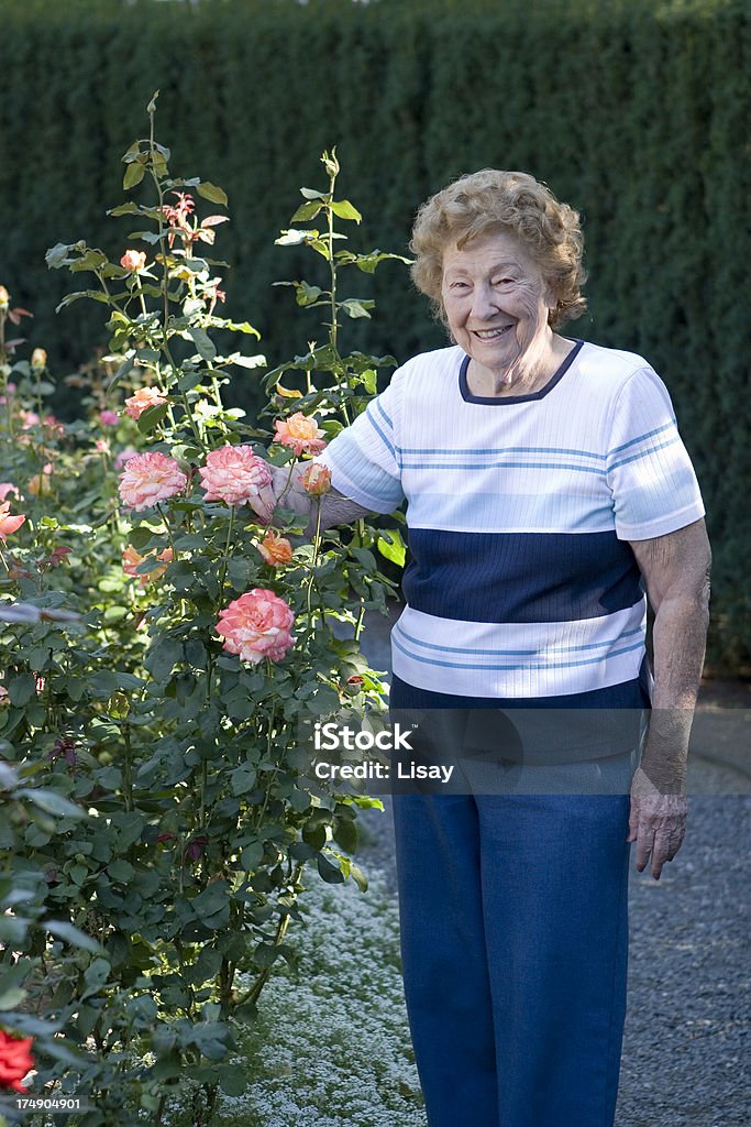 Donna nel giardino di rose - Foto stock royalty-free di Adulto