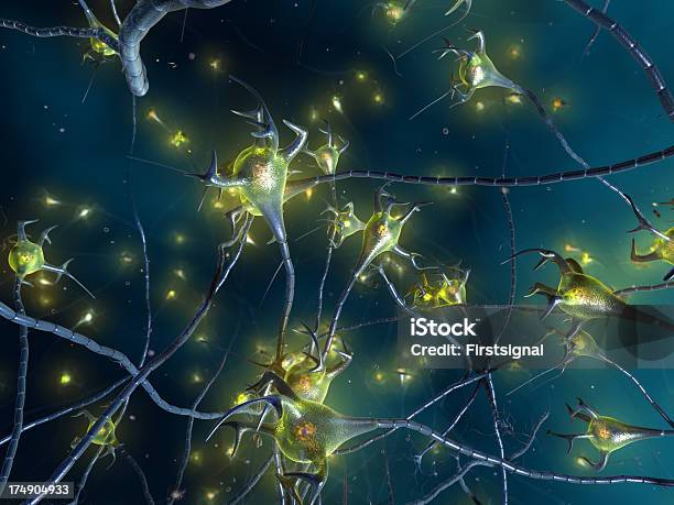 활동적임 뉴런 세포 Synapse 네트워크 3차원 형태에 대한 스톡 사진 및 기타 이미지 - 3차원 형태, RNA, 가지돌기