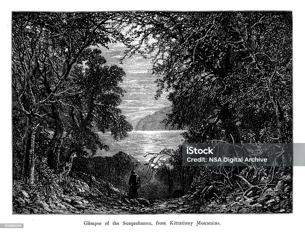The Rzeka Susquehanna, USA, drewno Grawerunek (1872) - Zbiór ilustracji royalty-free (Ameryka)
