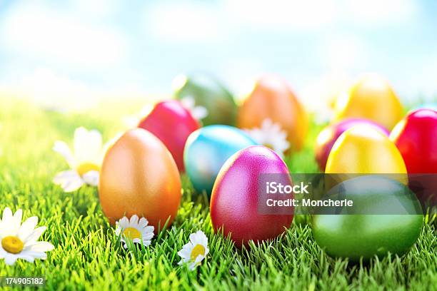 カラフルなイースター卵とデイジーの花 - まぶしいのストックフォトや画像を多数ご用意 - まぶしい, イースター, イースターエッグ