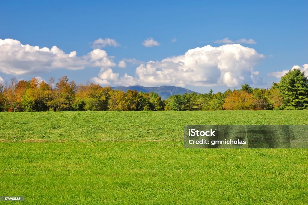 Paisagem - Royalty-free Maine Foto de stock