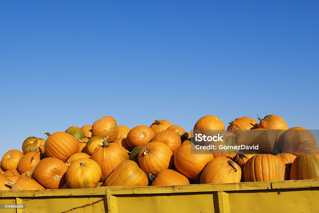 Ascoltate Pumpkins sovrapposti in coda - Foto stock royalty-free di Agricoltura