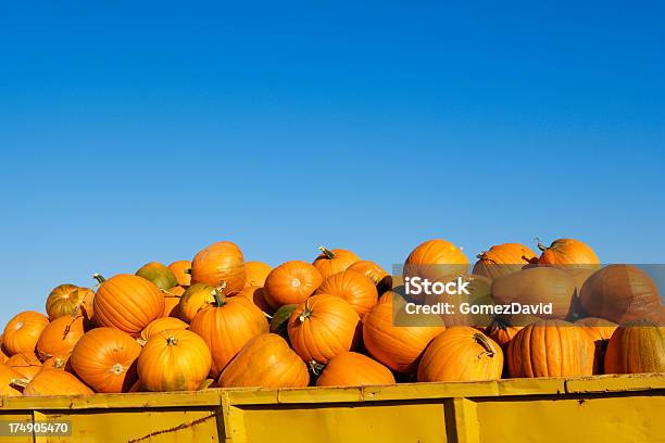 Ascoltate Pumpkins Sovrapposti In Coda - Fotografie stock e altre immagini di Agricoltura - Agricoltura, Agricoltura biologica, Ambientazione esterna