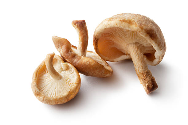 istock Mushrooms: Shiitake Mushrooms Isolated on White Background 174905646