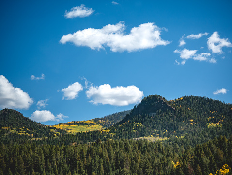 A mountainous, forested landscape boasts yellow fall leaves and a bright blue sky.