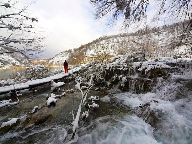 no de plitvice - plitvice lakes national park croatia winter sparse - fotografias e filmes do acervo