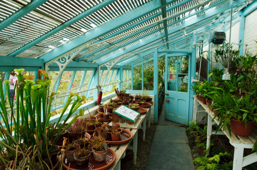interior of an old English greenhouse