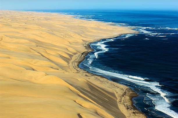 deserto del namib lungo la costa atlantica - steiner foto e immagini stock